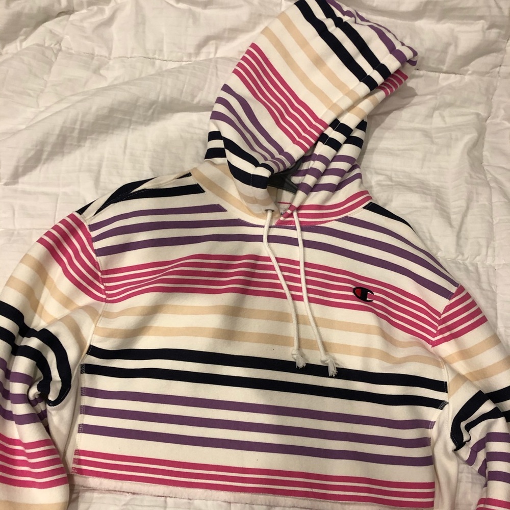 Champion Reverse Weave Cropped Hoodie